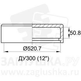 CAL12-300